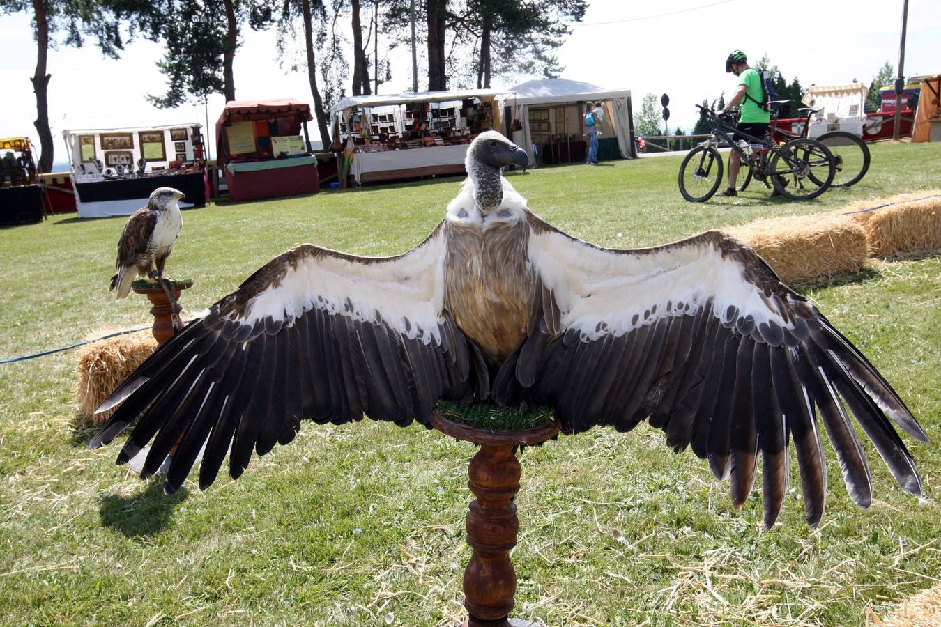 Mercado de la fiesta de Los Exconxuraos en Llanera