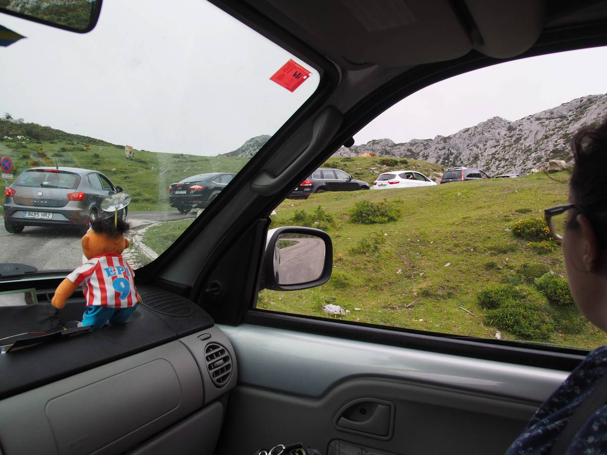 Colapso en la carretera a los Lagos de Covadonga