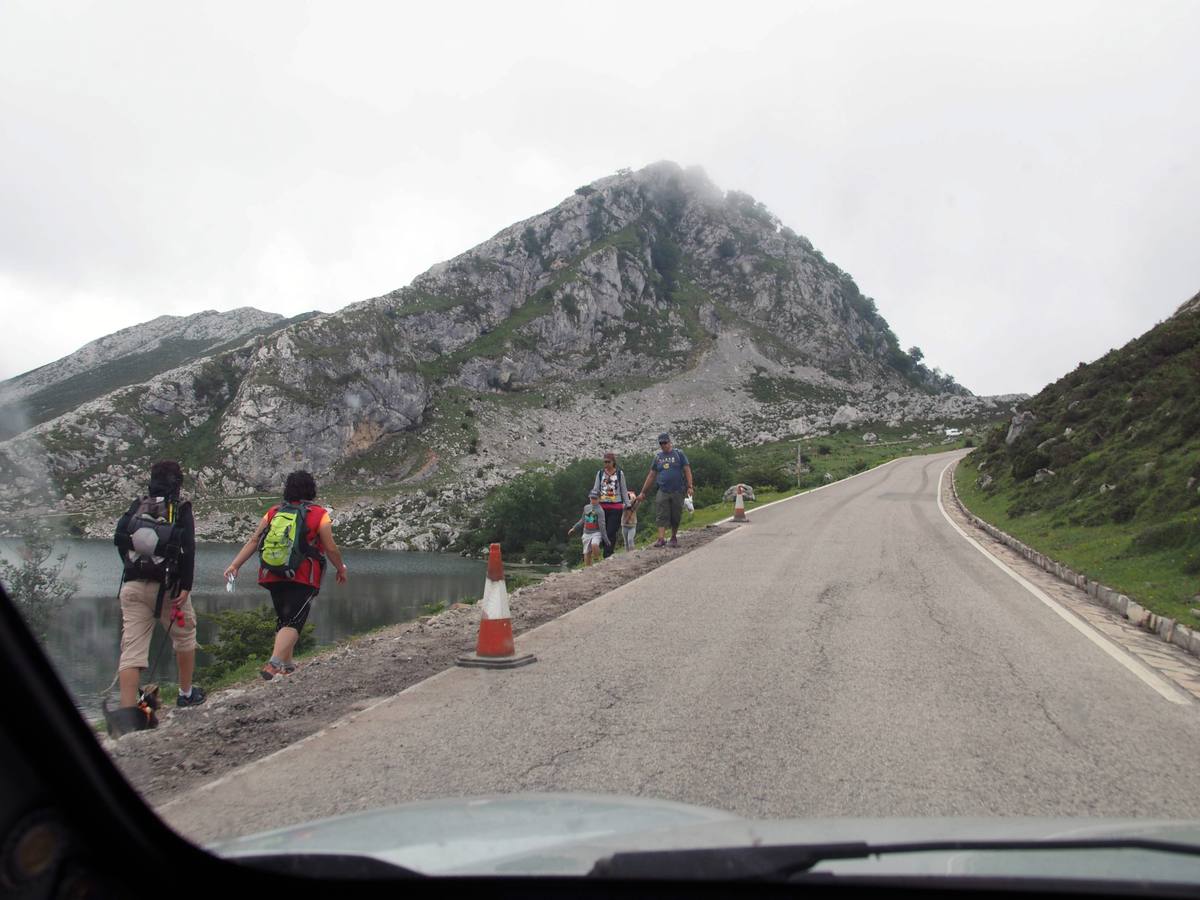 Colapso en la carretera a los Lagos de Covadonga