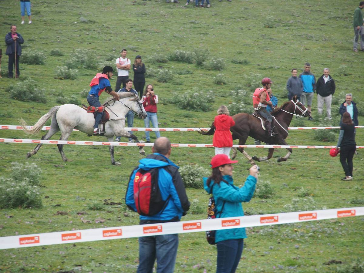 Fiesta del pastor en Los Lagos