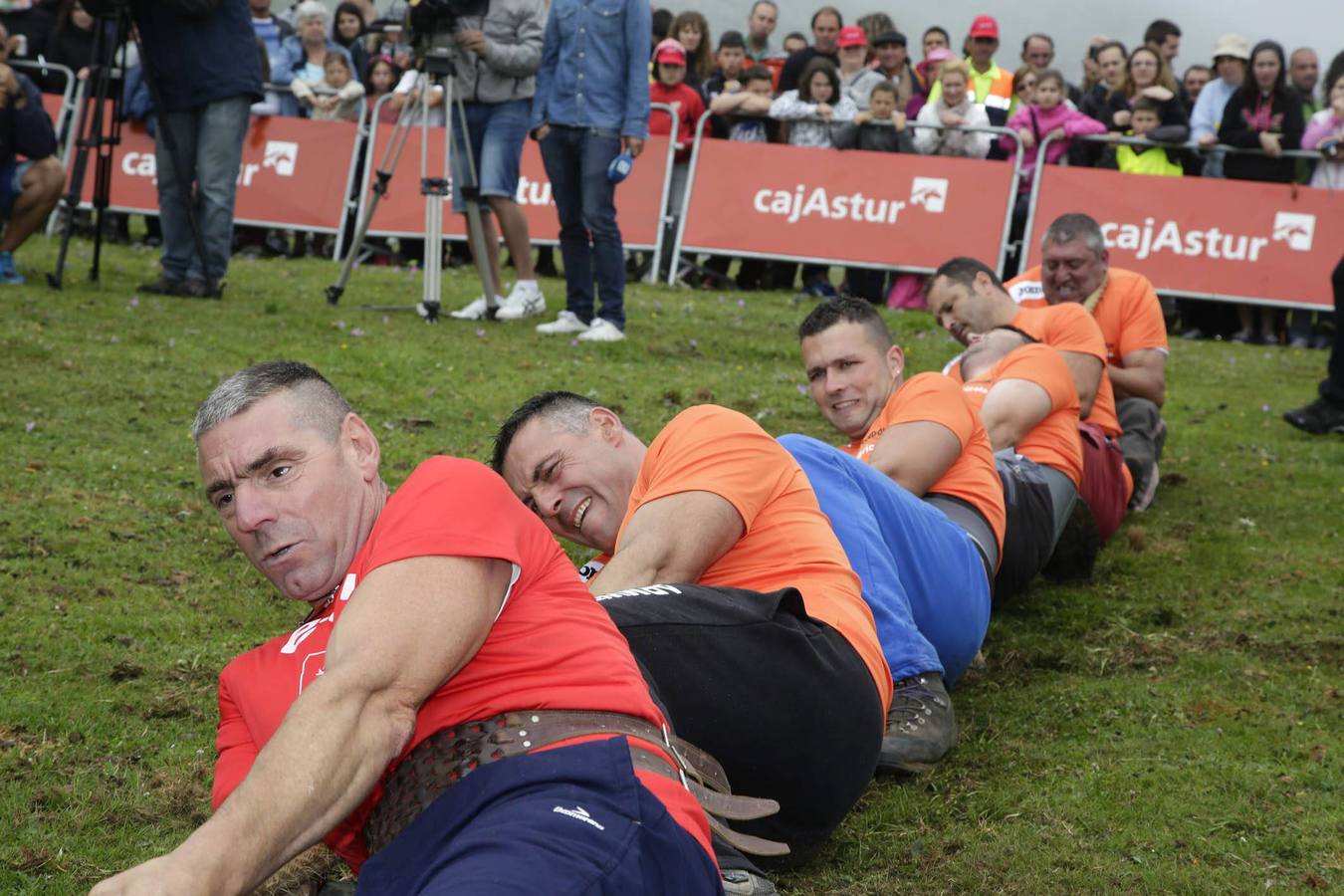 Fiesta del pastor en Los Lagos