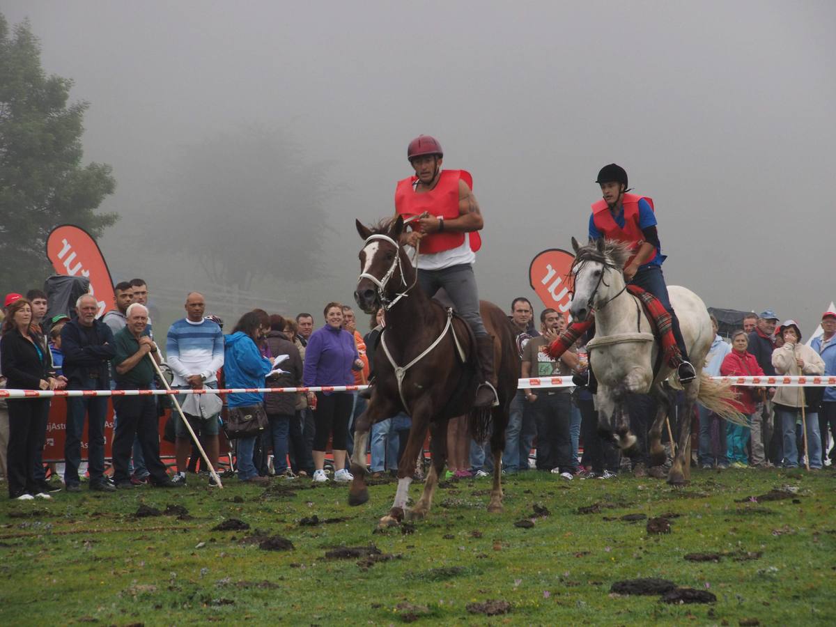 Fiesta del pastor en Los Lagos