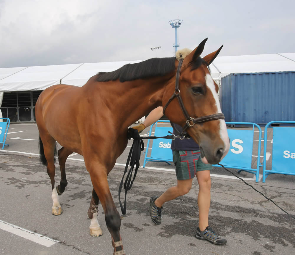 Gijón se prepara para el CSIO