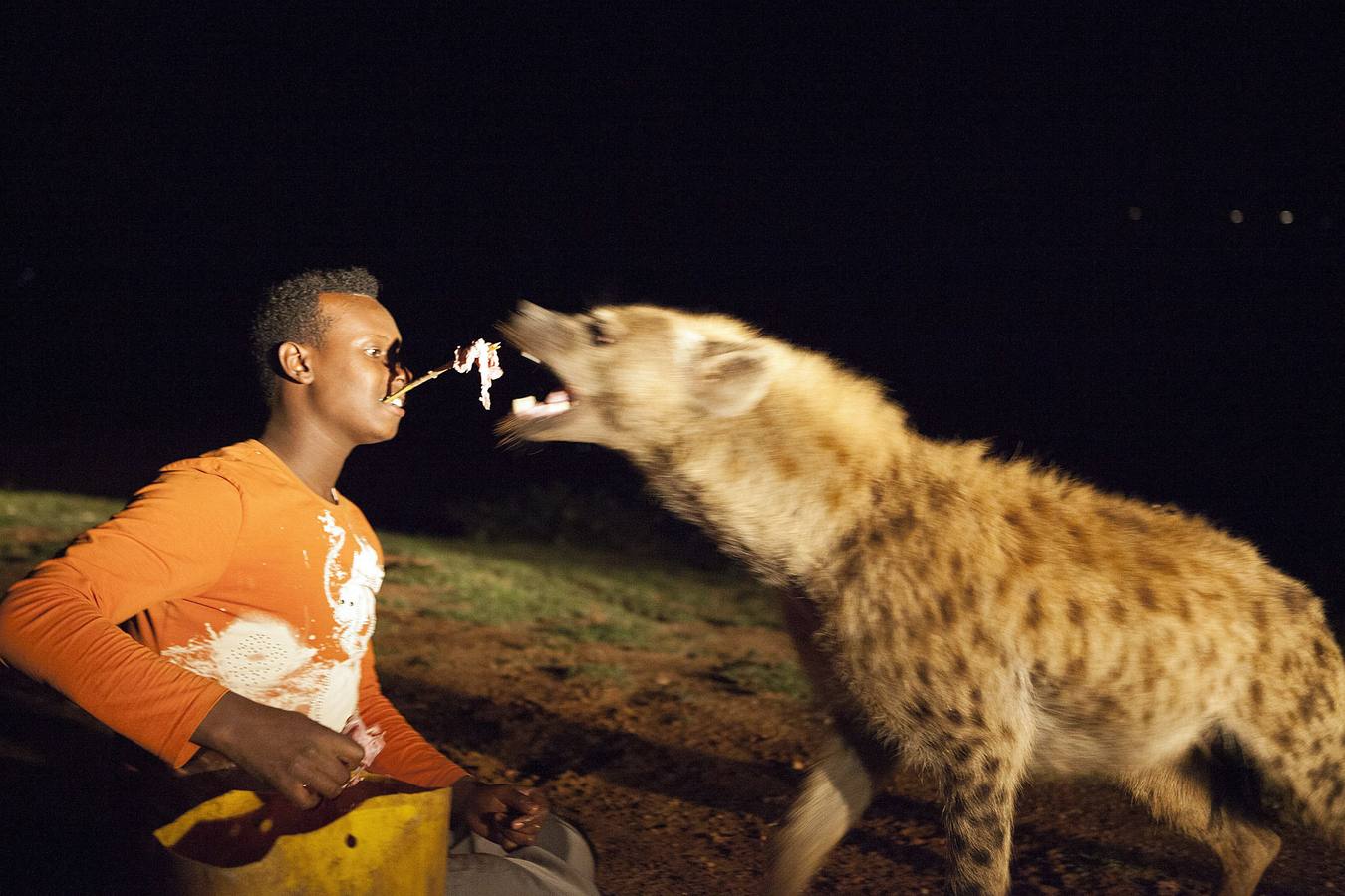 Sin miedo a la hiena. Un joven etíope alimenta a uno de estos peligrosos animales ante los turistas.