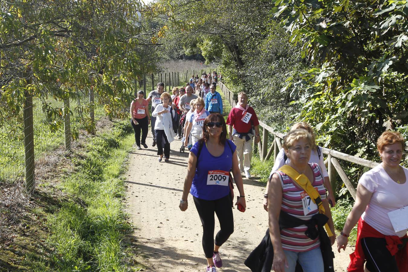 ¿Has estado en la marcha &#039;Gijón Solidario 2014&#039;? ¡Búscate! - Galería 2