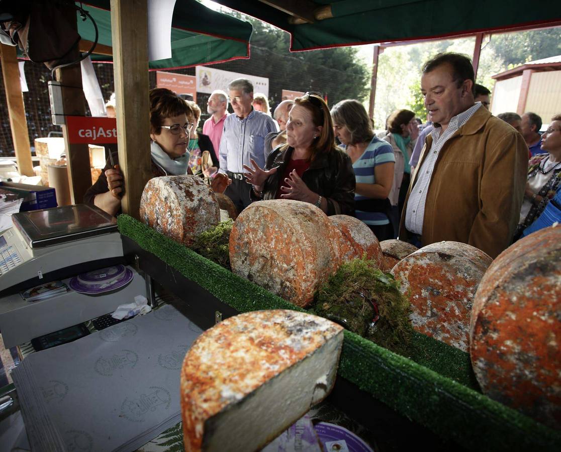 Certamen del queso Gamonéu en Benia de Onís