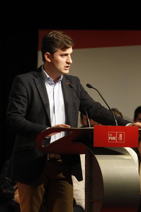 El inicio de la precampaña del PSOE en Asturias, en imágenes