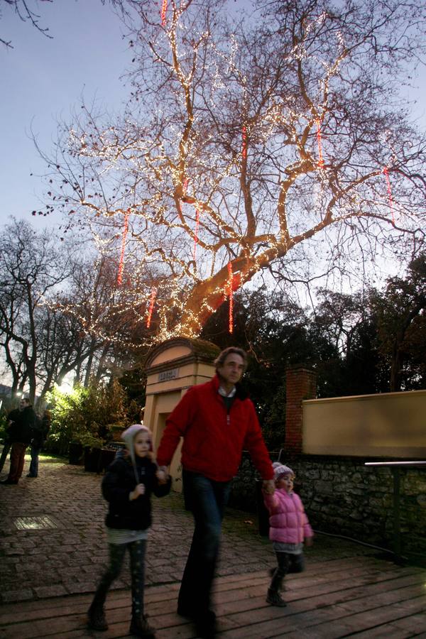 Belén monumental del Jardín Botánico de Gijón