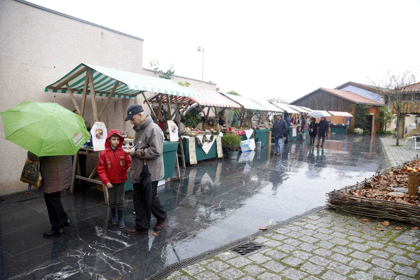 El Jardín Bontánico celebra el Solsticio de invierno