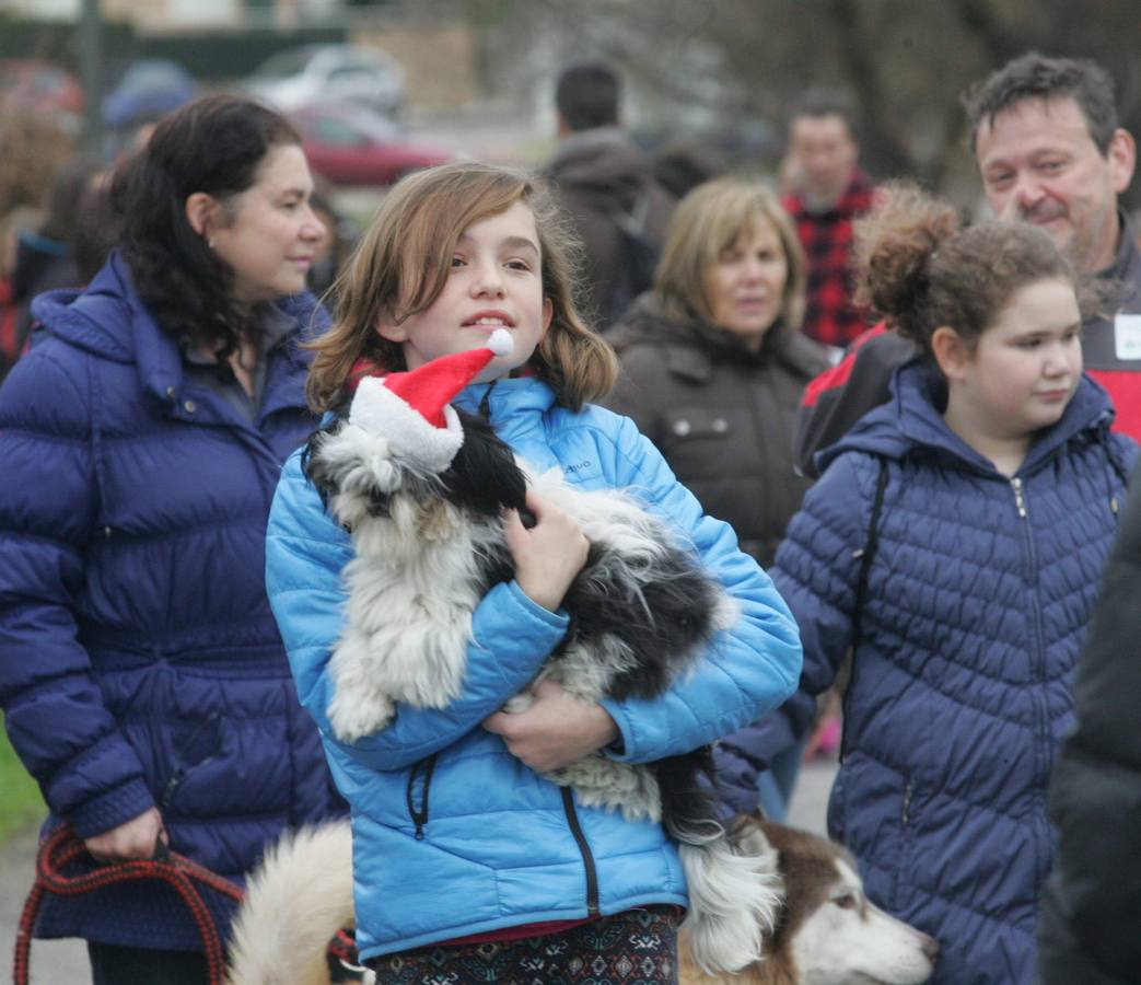 La San Silvestre de los perros