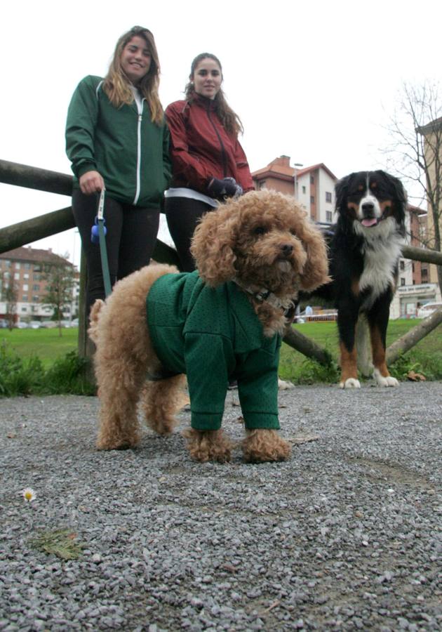 La San Silvestre de los perros