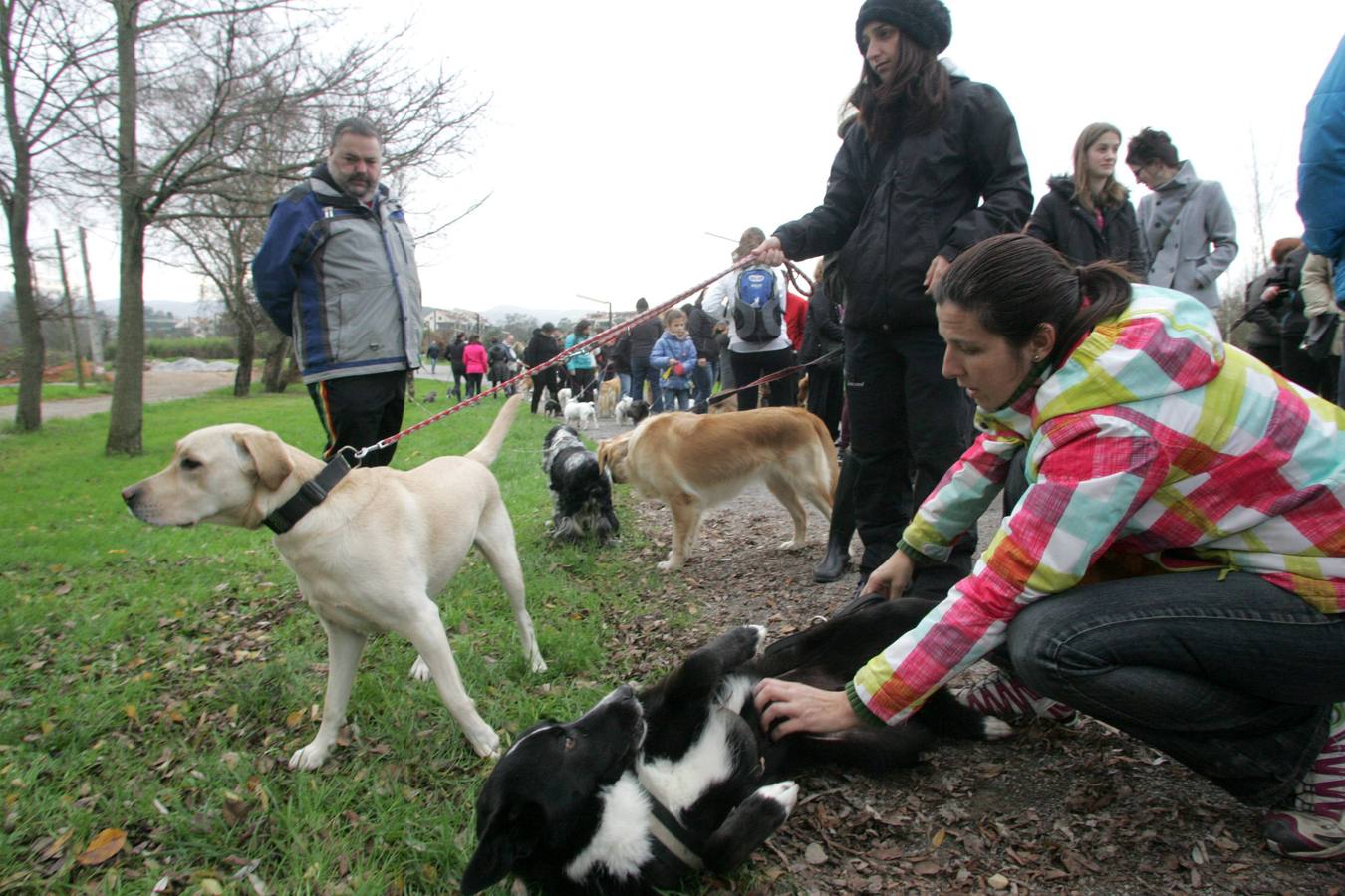 La San Silvestre de los perros