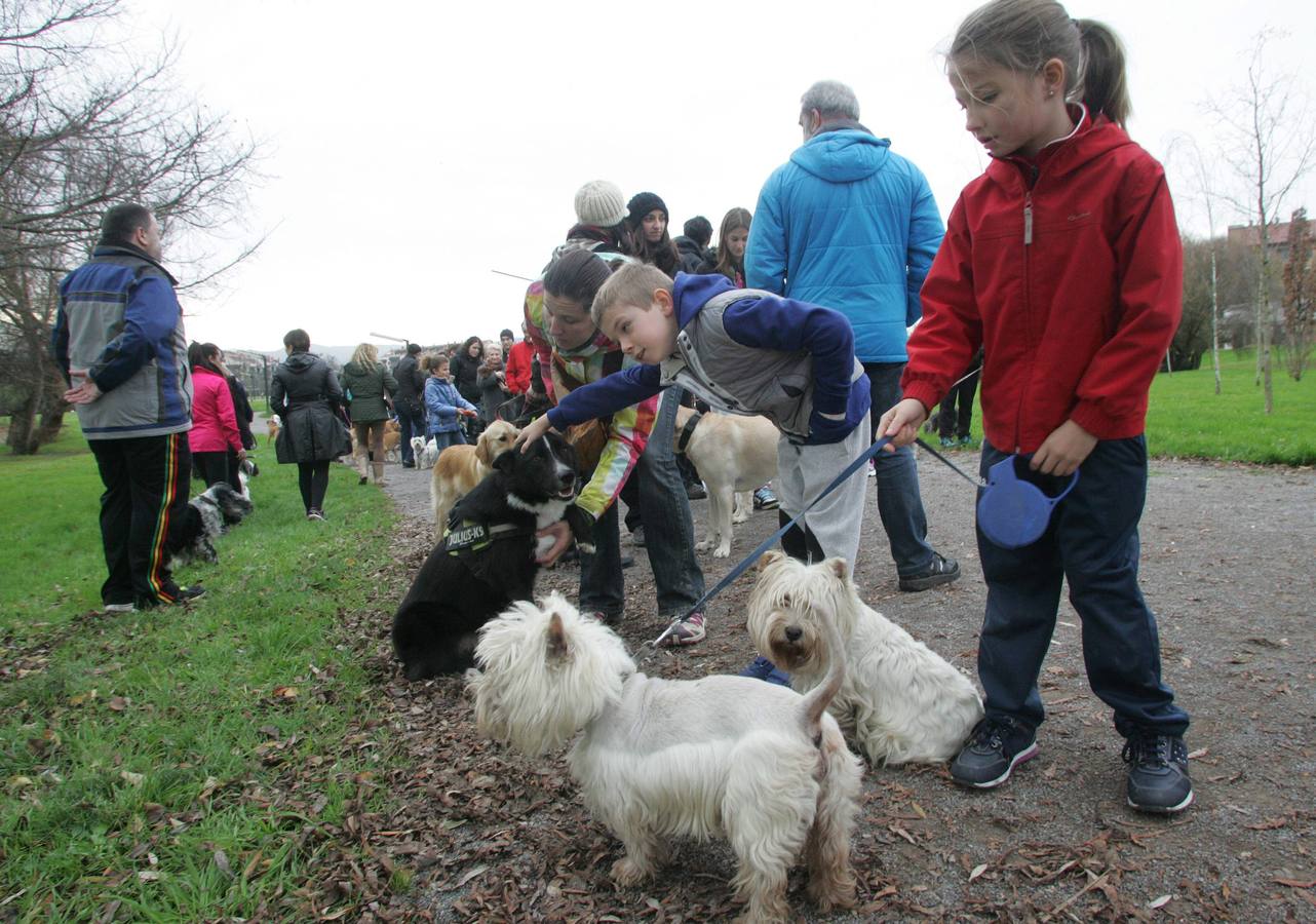 La San Silvestre de los perros