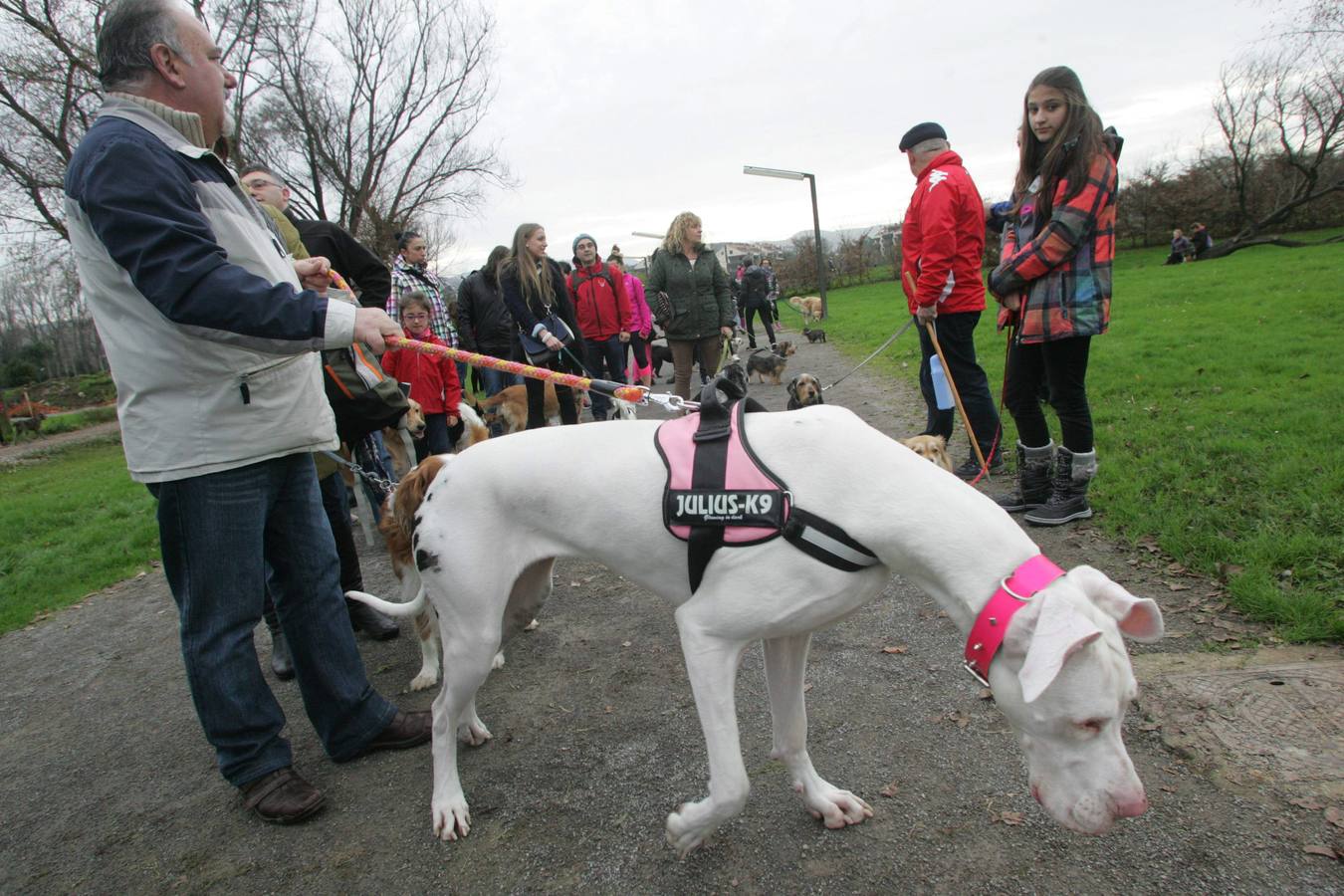 La San Silvestre de los perros