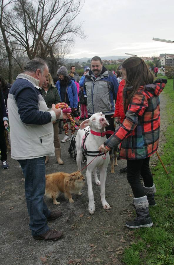 La San Silvestre de los perros