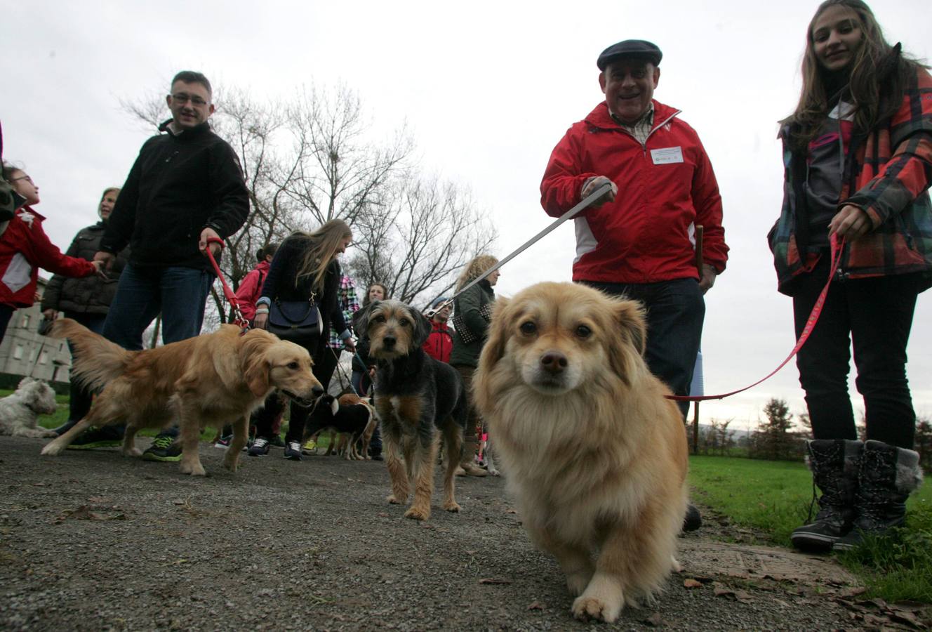 La San Silvestre de los perros