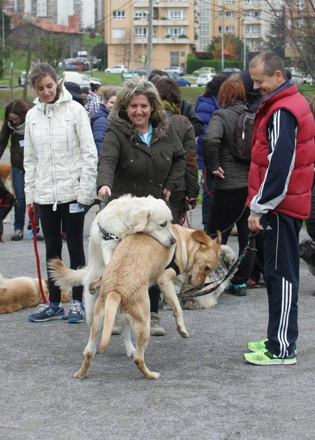 La San Silvestre de los perros