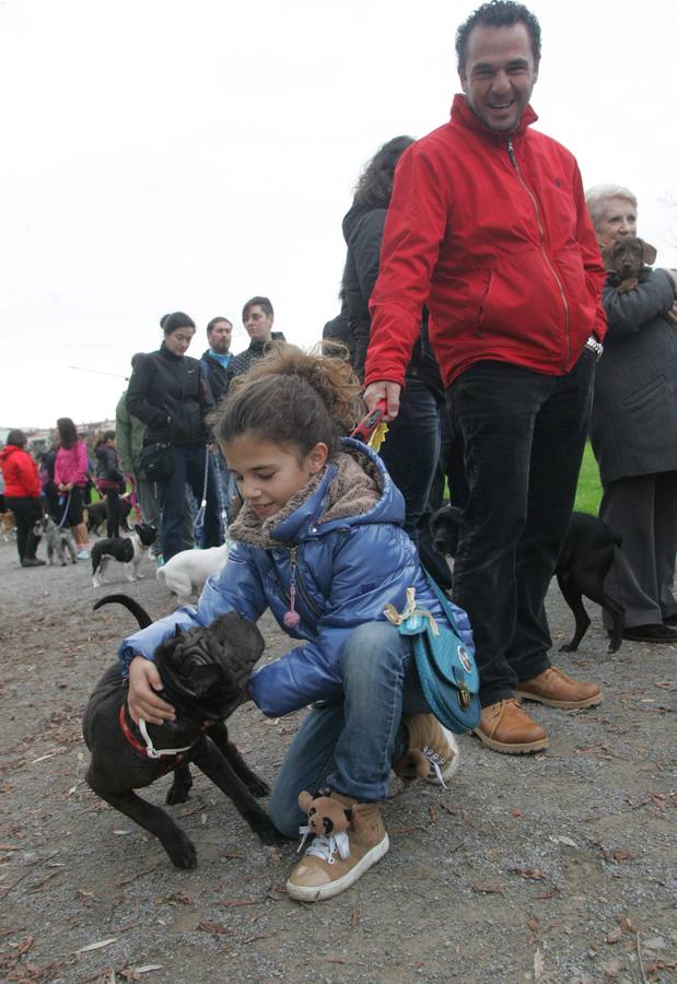 La San Silvestre de los perros