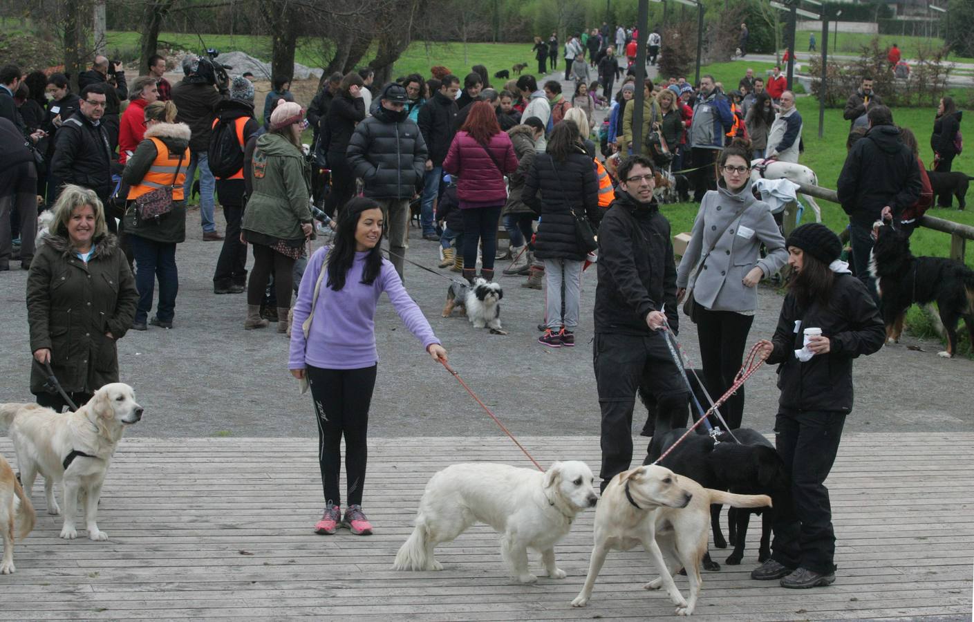 La San Silvestre de los perros