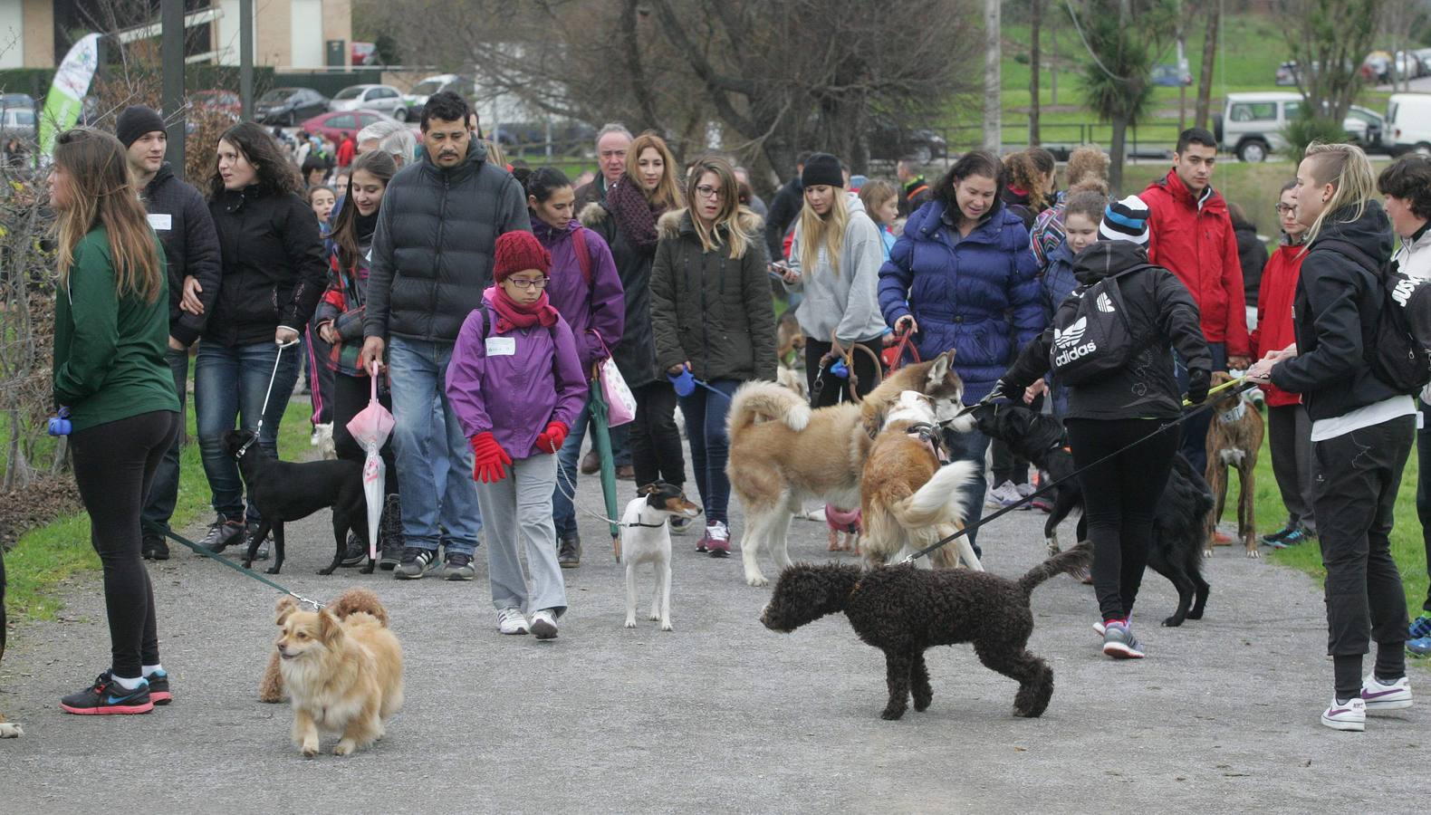 La San Silvestre de los perros