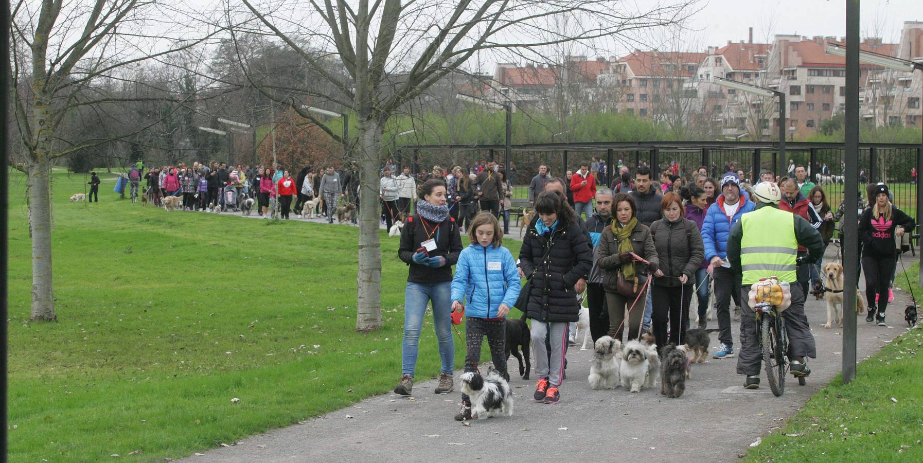 La San Silvestre de los perros