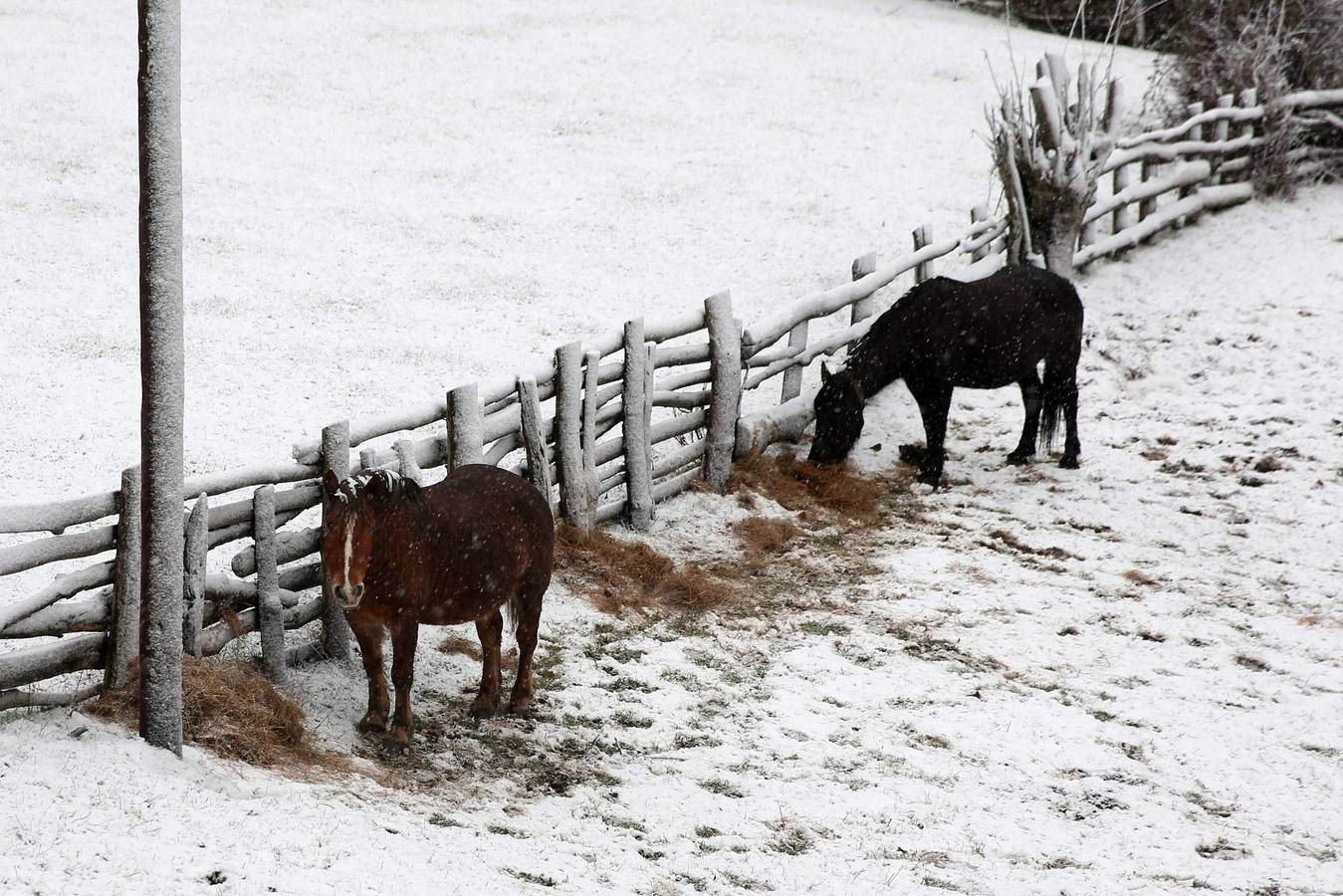 Asturias, en alerta por viento y nevadas