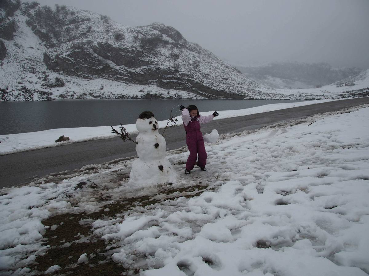 La nieve en Los Lagos