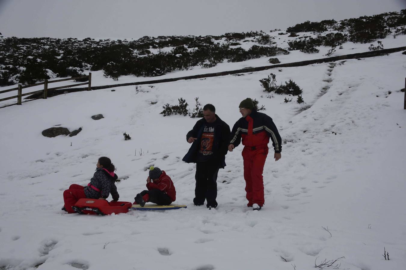 La nieve en Los Lagos