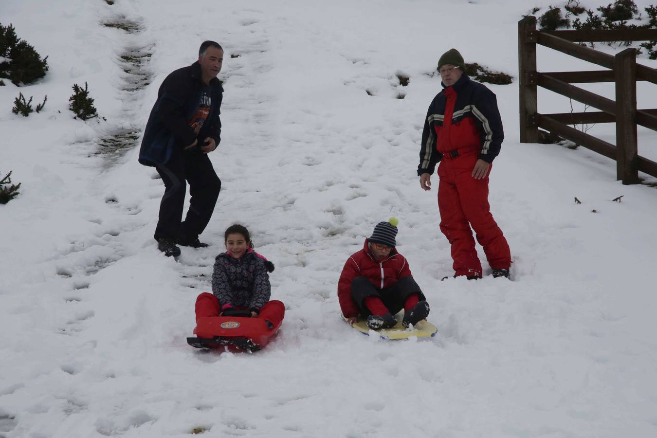 La nieve en Los Lagos