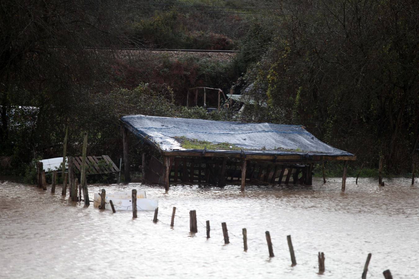 Las consecuencias del temporal en Avilés y Bajo Nalón