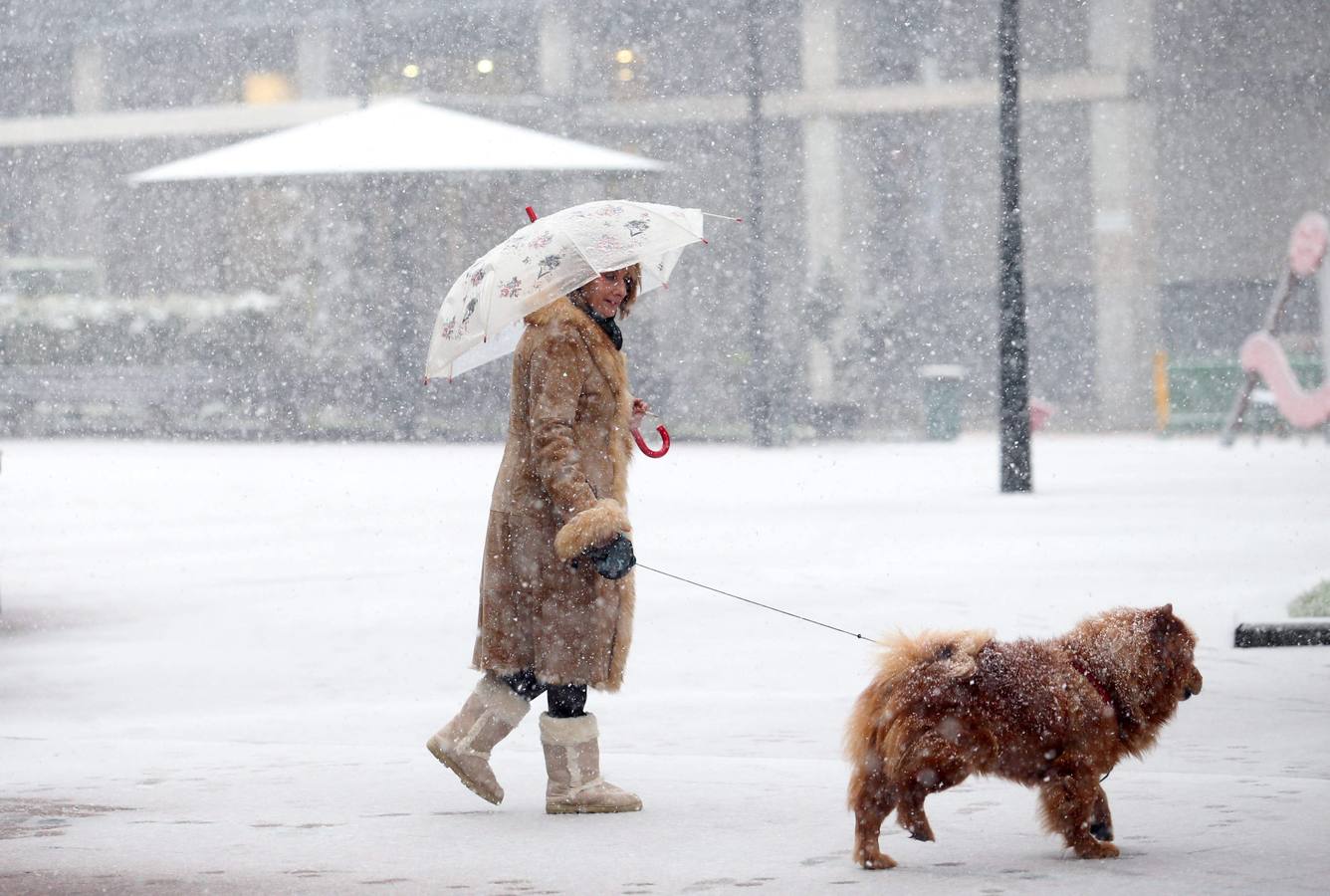 La nieve llega a Oviedo