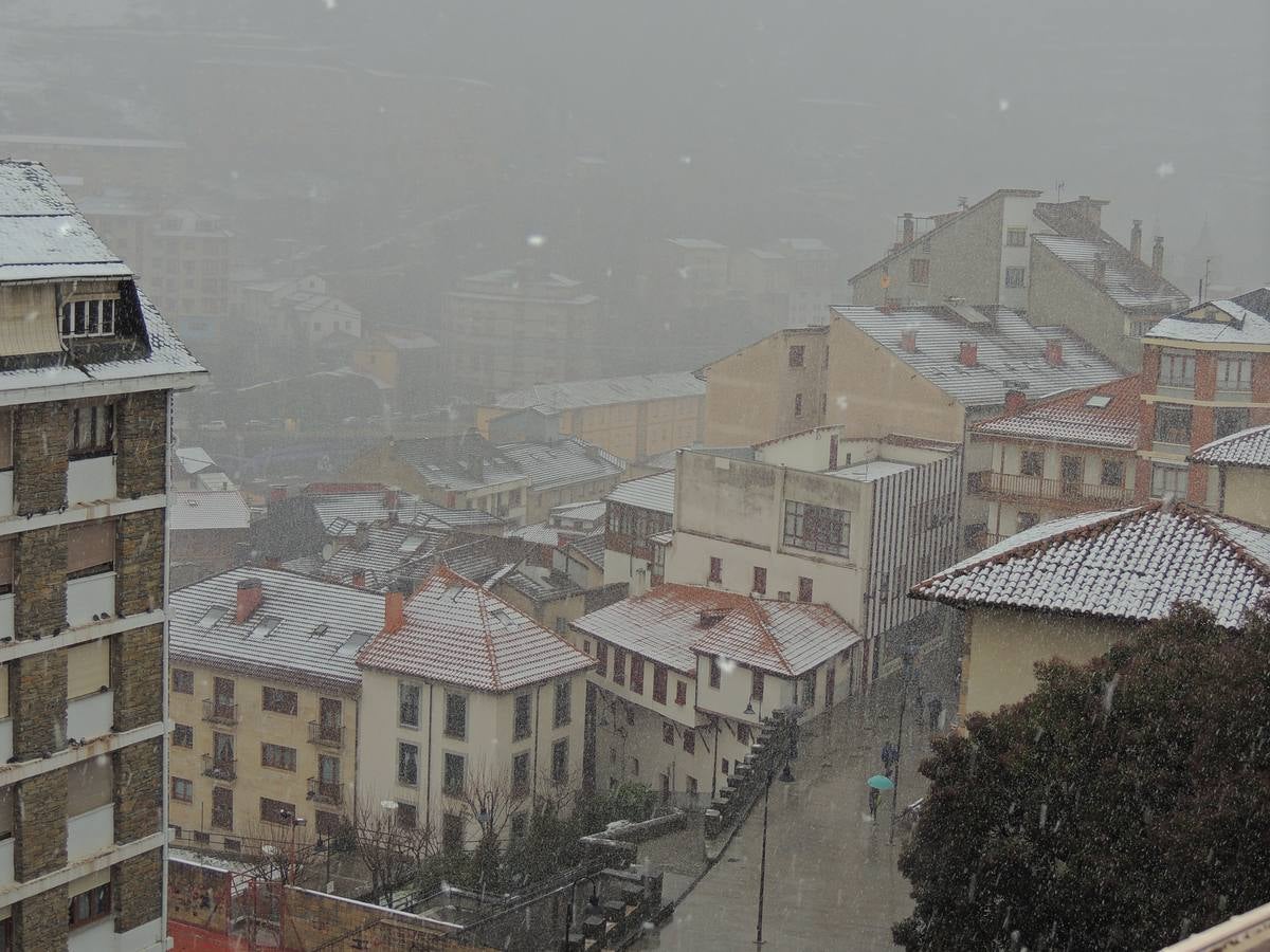 Cangas del Narcea