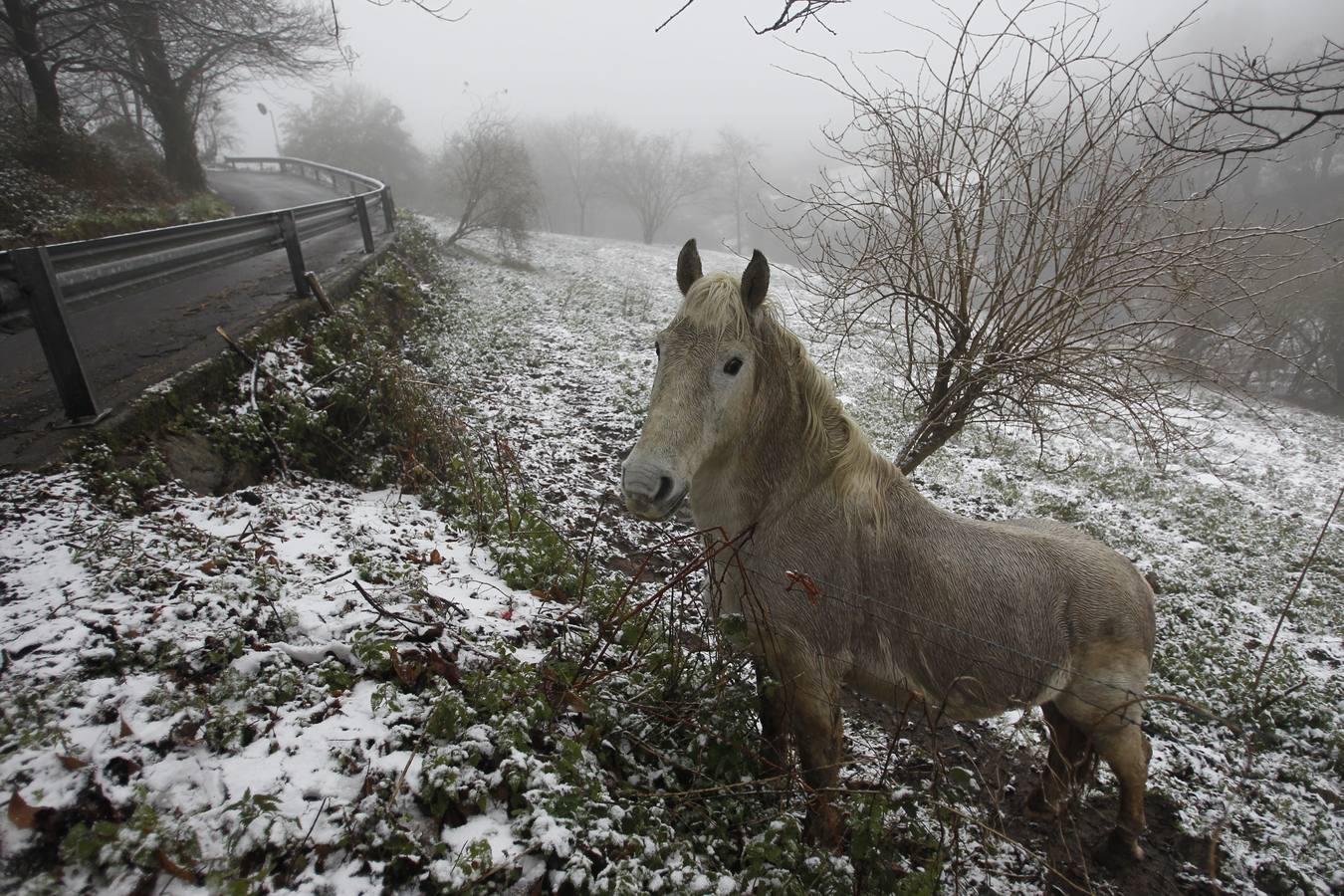 La nieve cubre en Oviedo