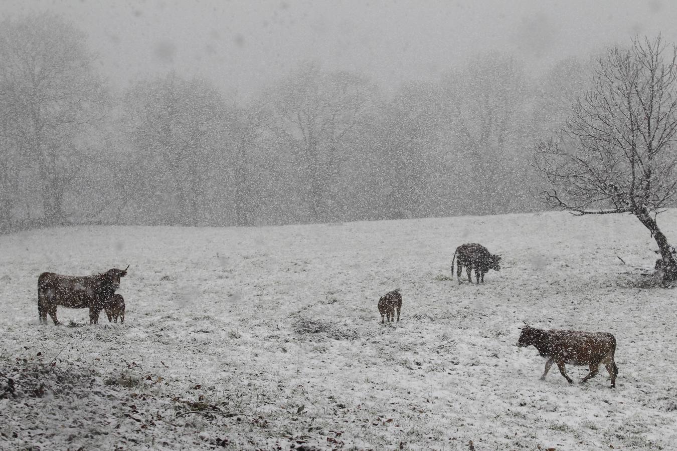 La nieve cubre en Oviedo