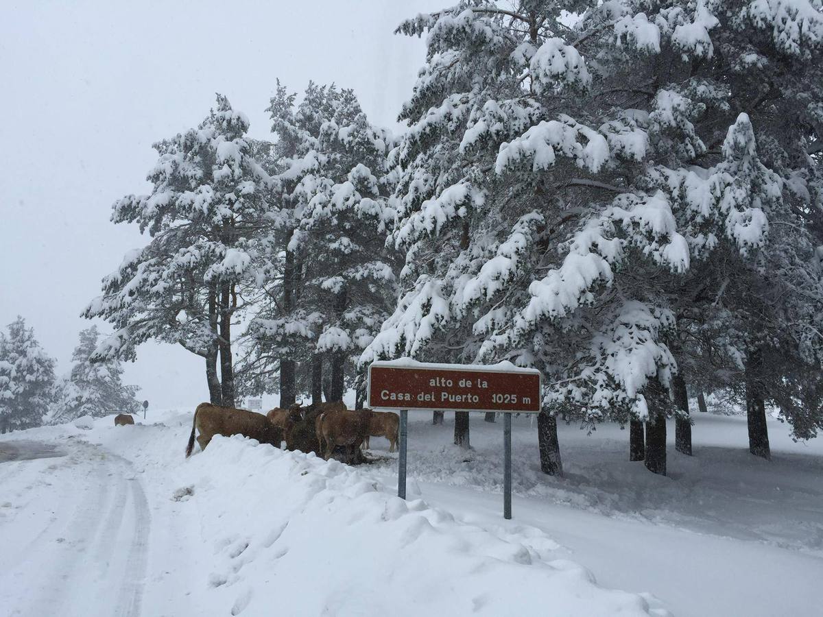 El suroccidente asturiano, bajo el manto blanco de la nieve