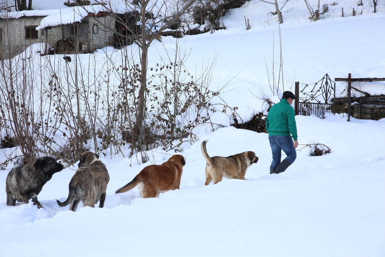 Así quedó Degaña tras las nevadas