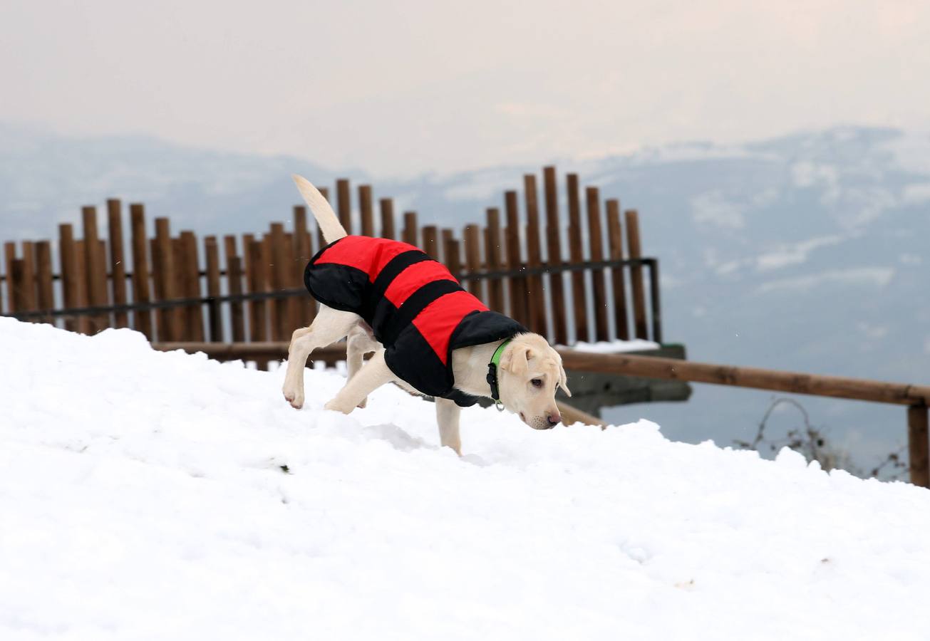 Los ovetenses disfrutan en el Naranco de la nieve