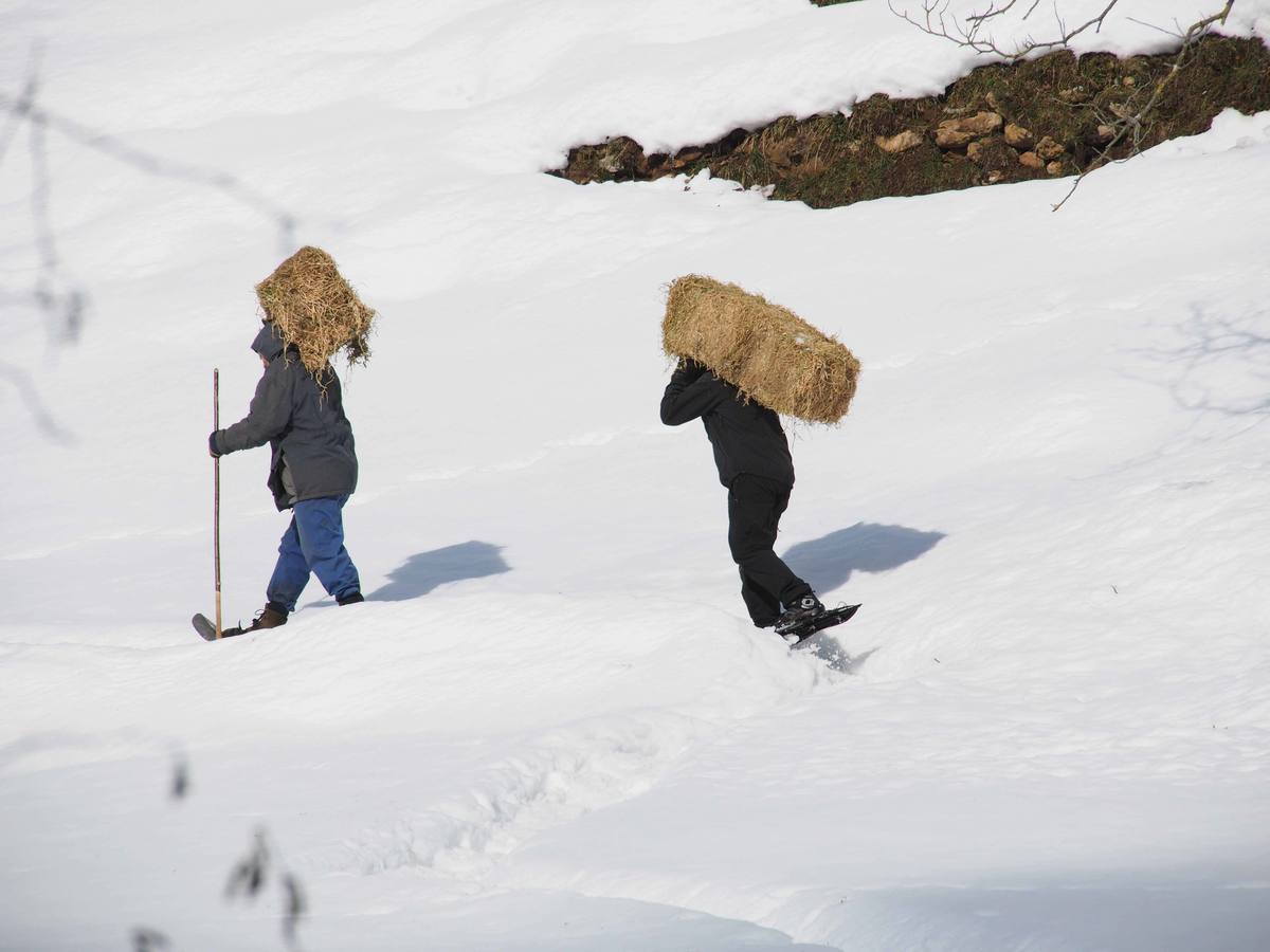 La dura vida en la nieve