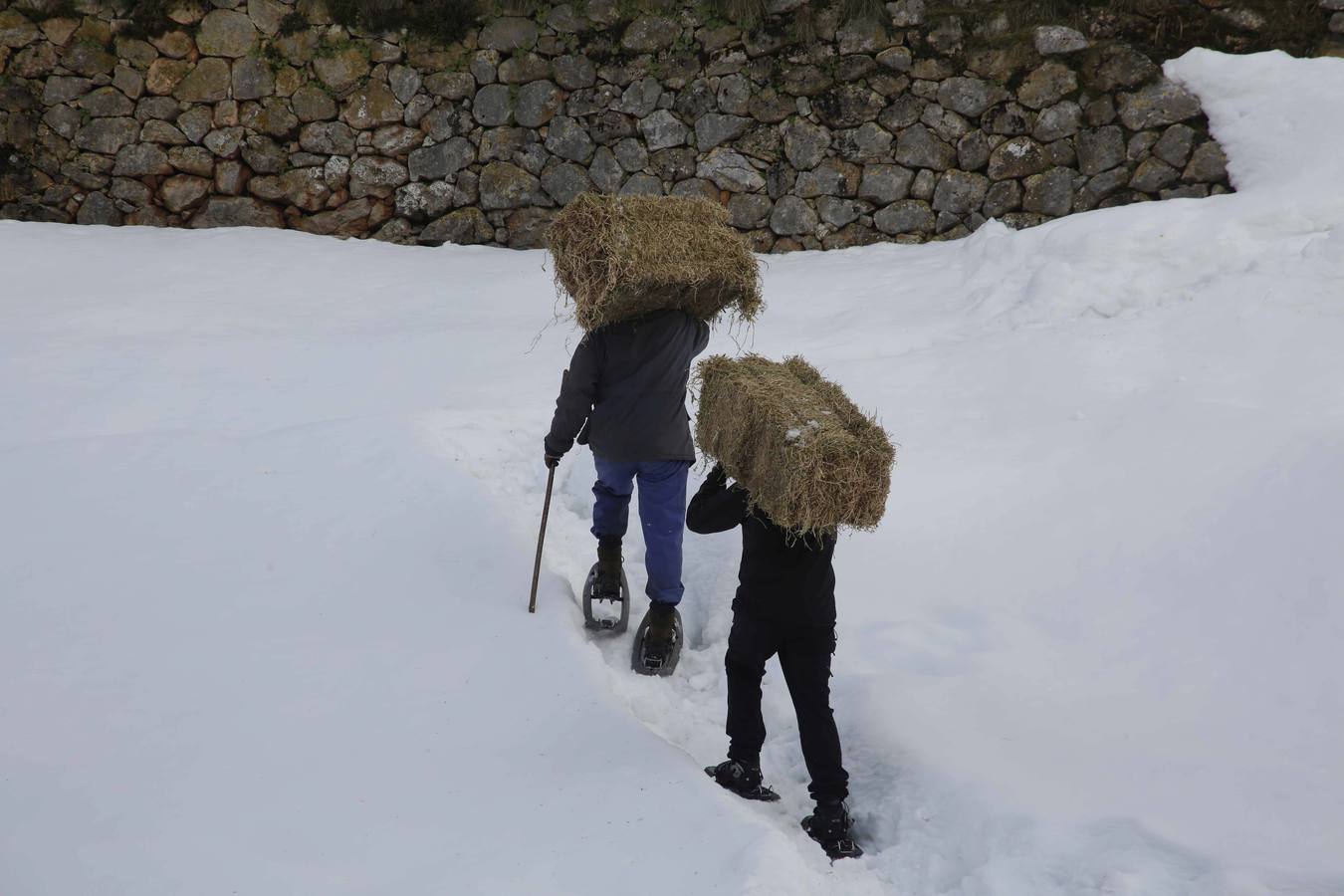 La dura vida en la nieve