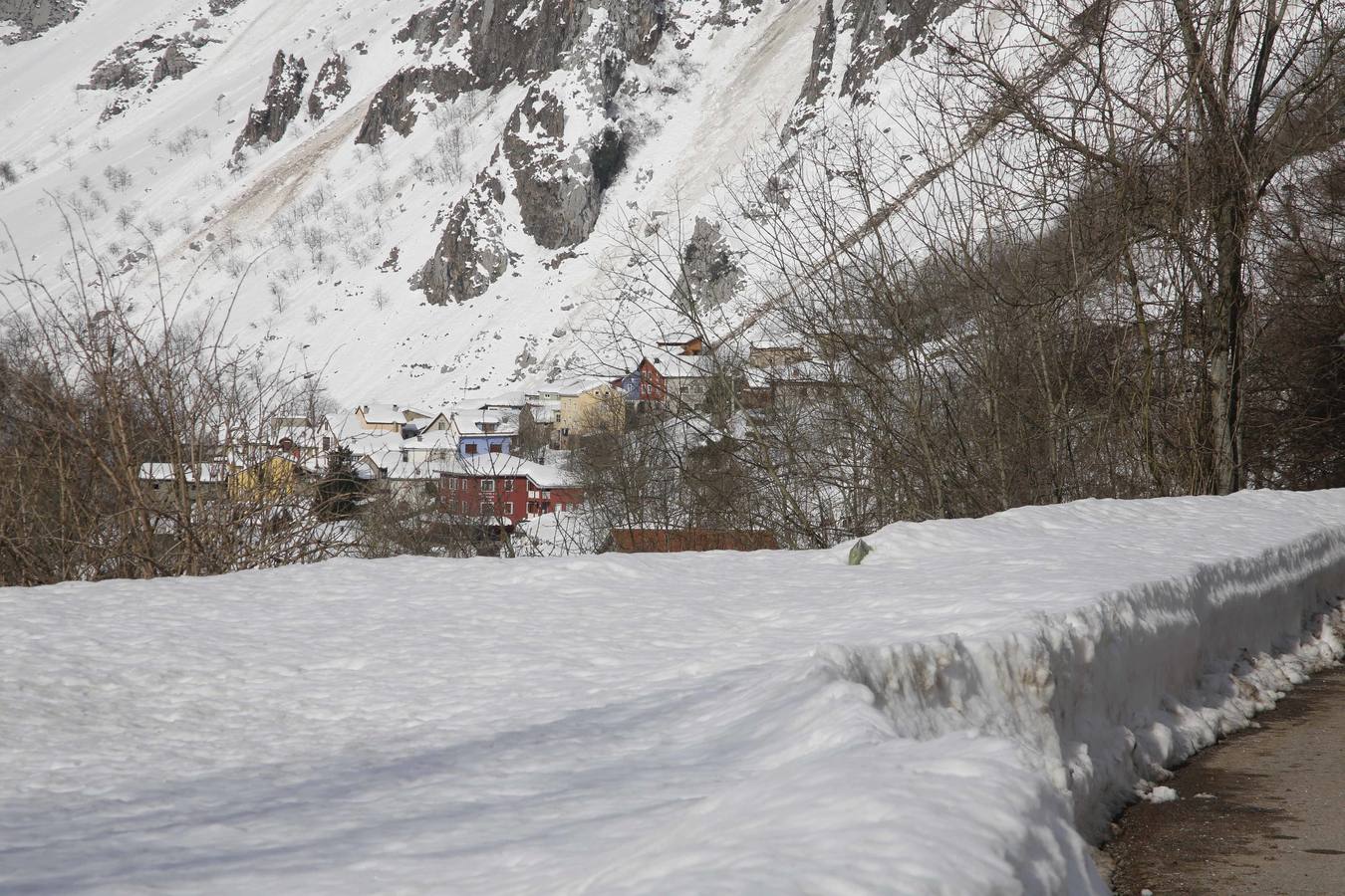 La dura vida en la nieve