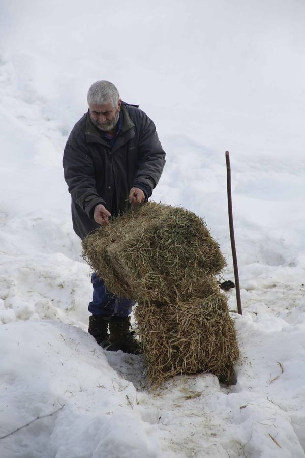 La dura vida en la nieve