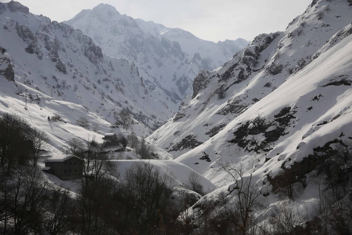 La dura vida en la nieve