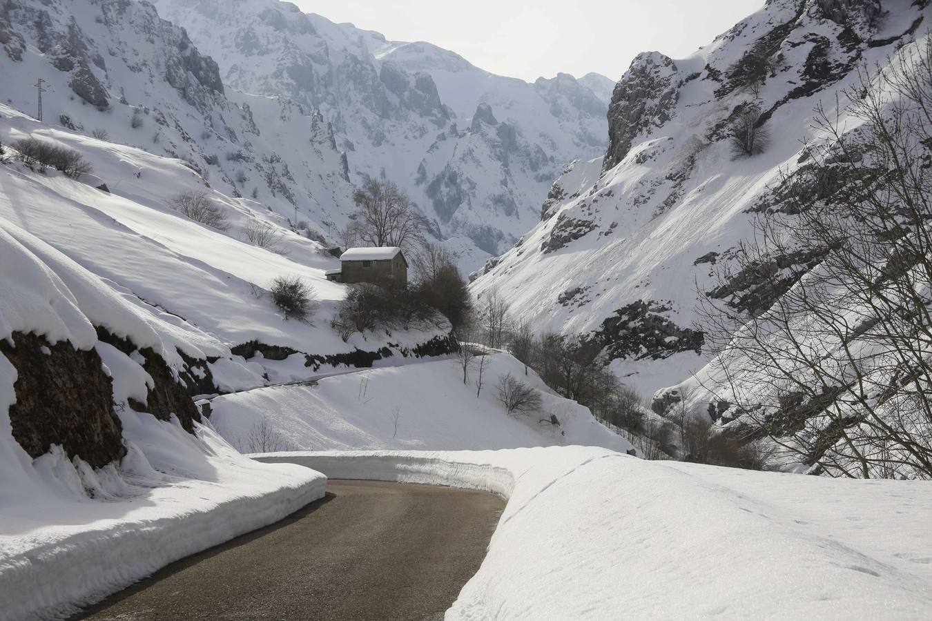 La dura vida en la nieve