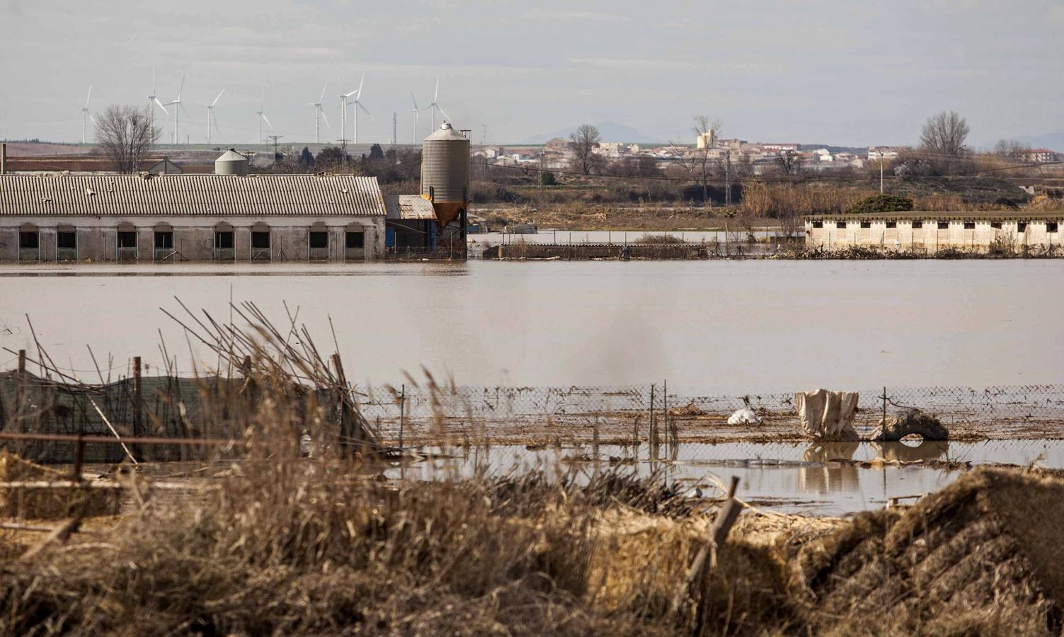 La crecida del Ebro mantiene en alerta a Zaragoza