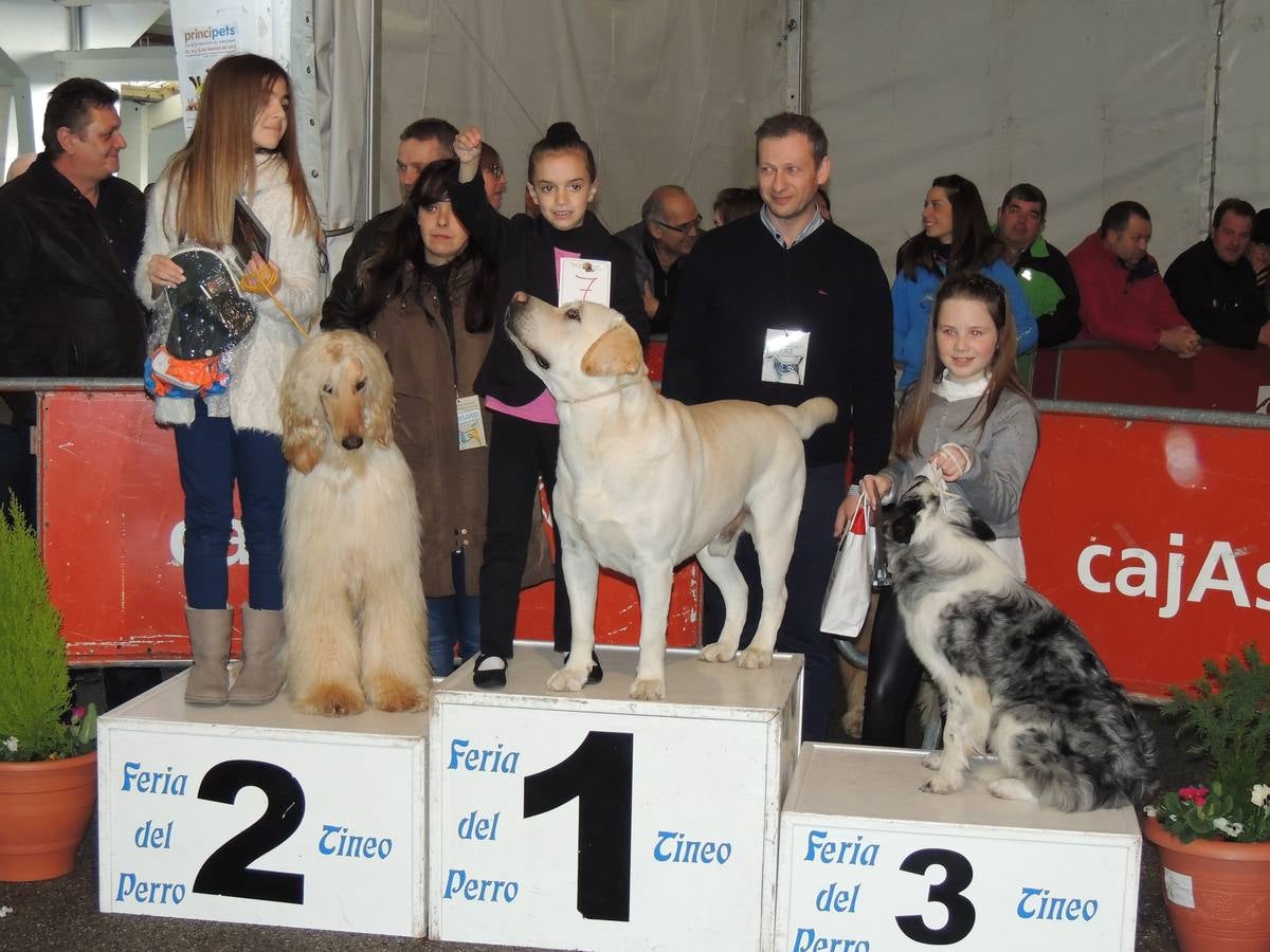 Participantes con pedigrí.