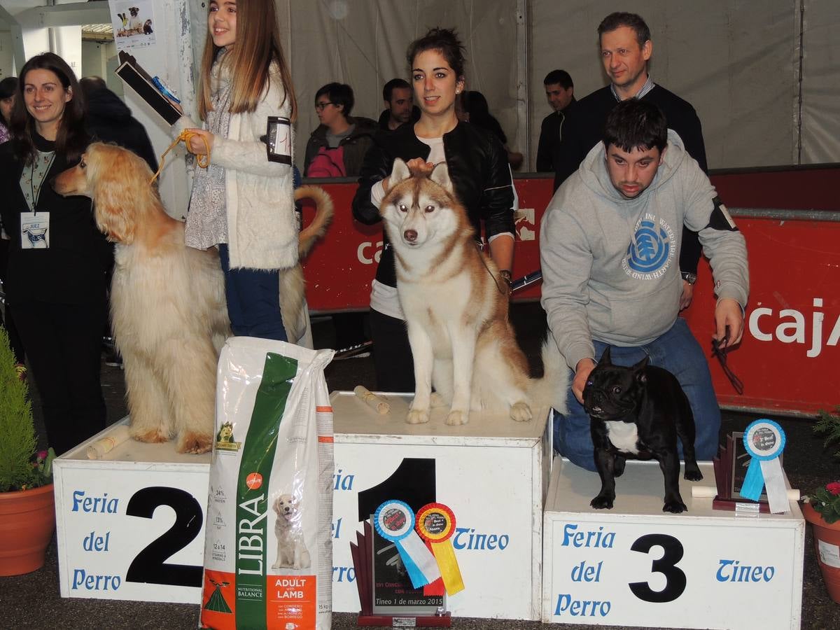 Participantes con pedigrí.