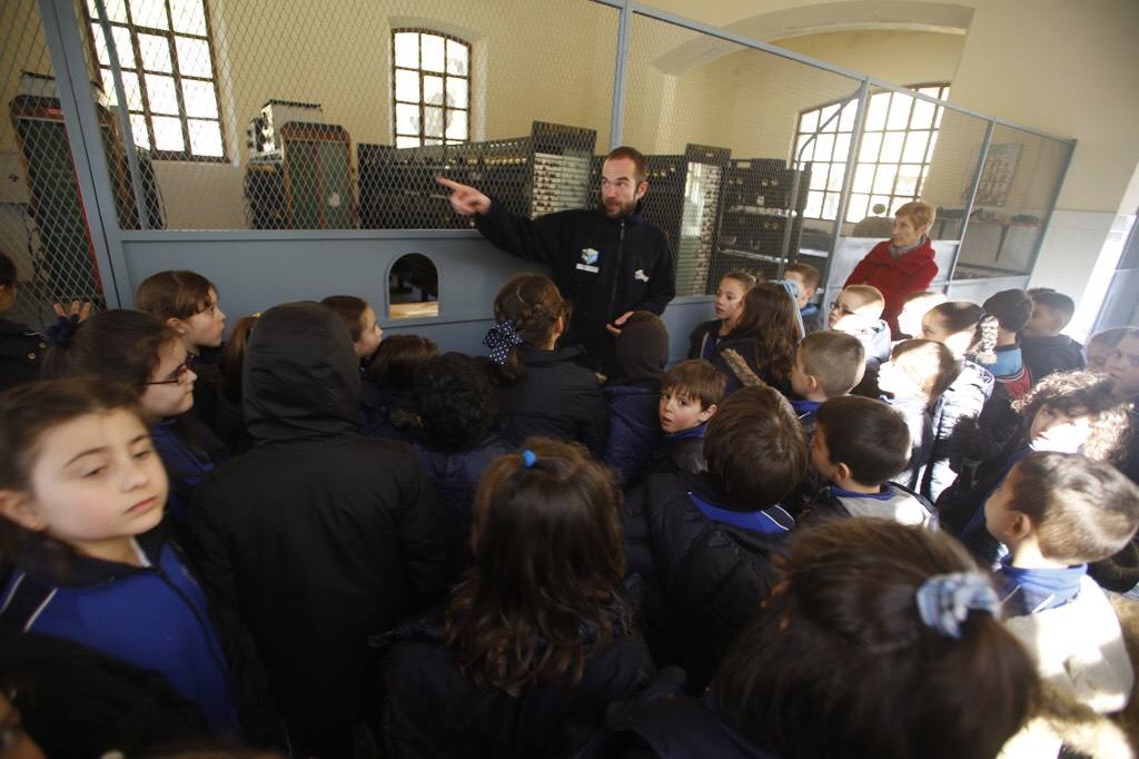 Doscientos niños visitan el Ecomuseo de Samuño