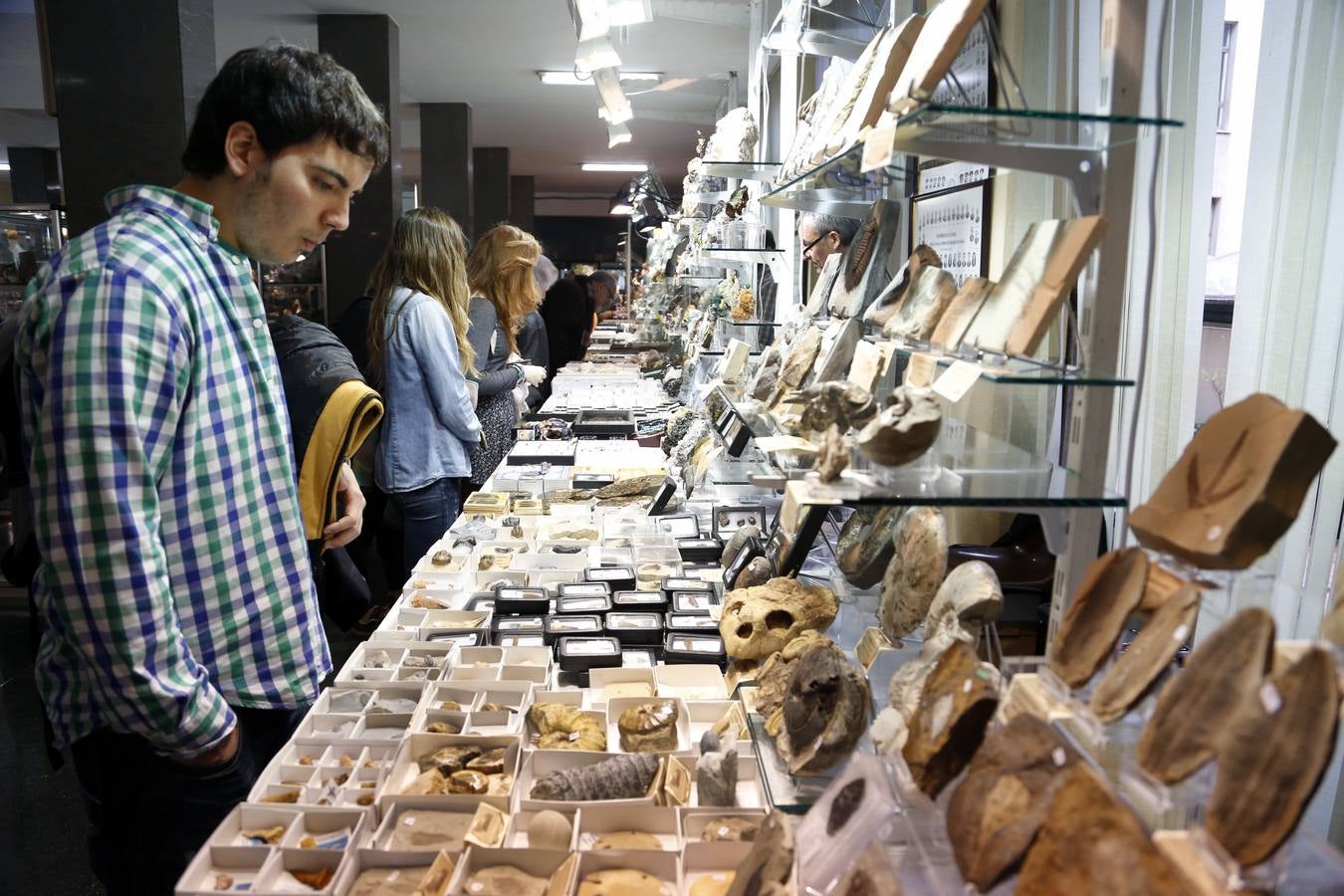 Exposición de minerales en Minas