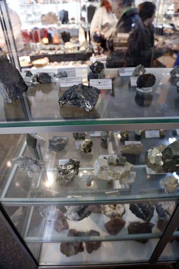 Exposición de minerales en Minas