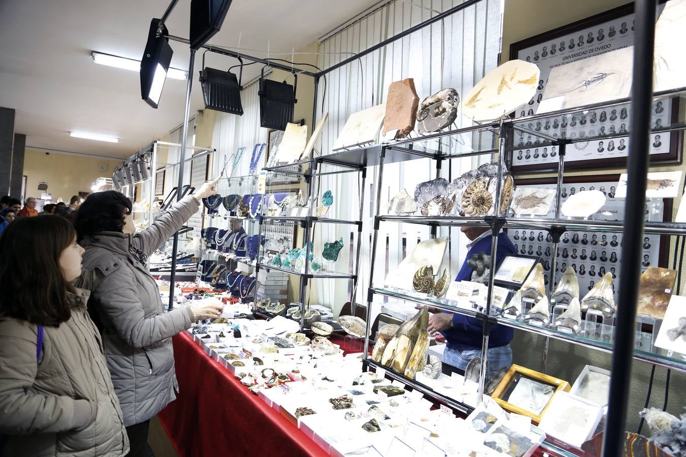 Exposición de minerales en Minas